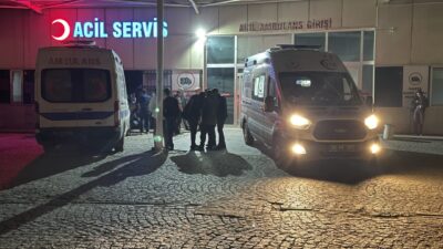 KARS (AA) – Kars’ın Arpaçay ilçesinde çocukların oynadığı tüfeğin kazara