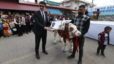 KARS (AA) – Kars'ın Digor ilçesinde düzenlenen Digor Şenliği renkli