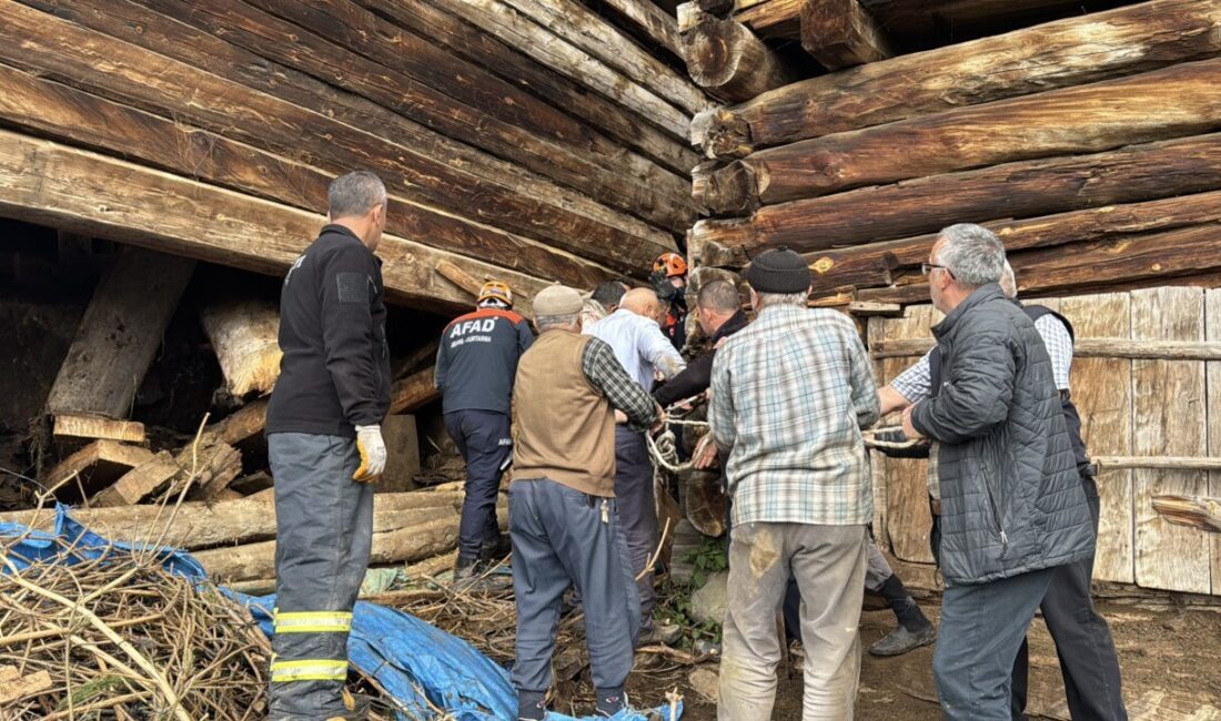 KASTAMONU (AA) – Kastamonu'da çöken ahırın enkazı altında kalan kadın