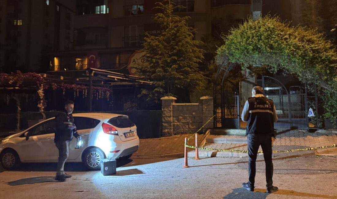 KAYSERİ (AA) – Kayseri'nin merkez Talas ilçesinde iki kardeş, bir
