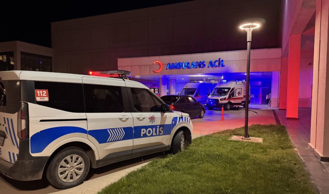 KAYSERİ (AA) – Kayseri'nin Kocasinan ilçesinde bir kayınbaba ile damadı