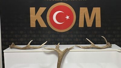 KIRŞEHİR (AA) – Kırşehir'de düzenlenen operasyonda 7 kızıl geyik boynuzu