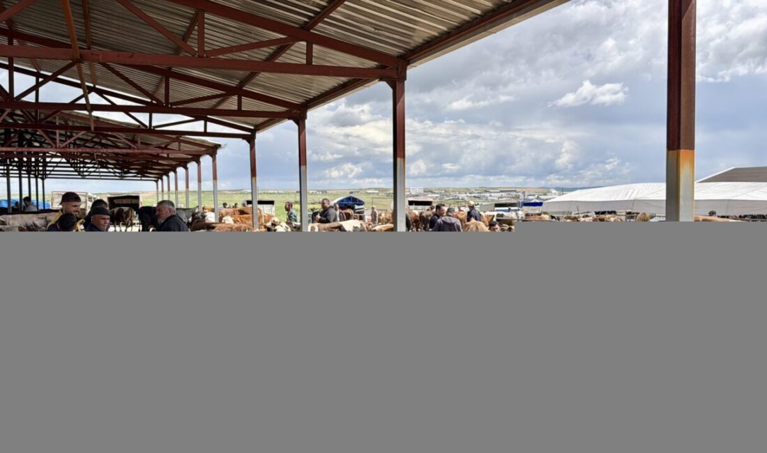 KAYSERİ (AA) – Kayseri ve Kırşehir'de, kurbanlıkların satıldığı hayvan pazarlarında
