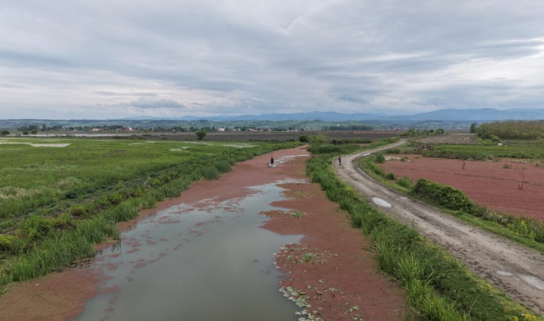 SAMSUN (AA) – Samsun'da, UNESCO Dünya Mirası Geçici Listesi'nde bulunan