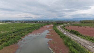 SAMSUN (AA) – Samsun'da, UNESCO Dünya Mirası Geçici Listesi'nde bulunan