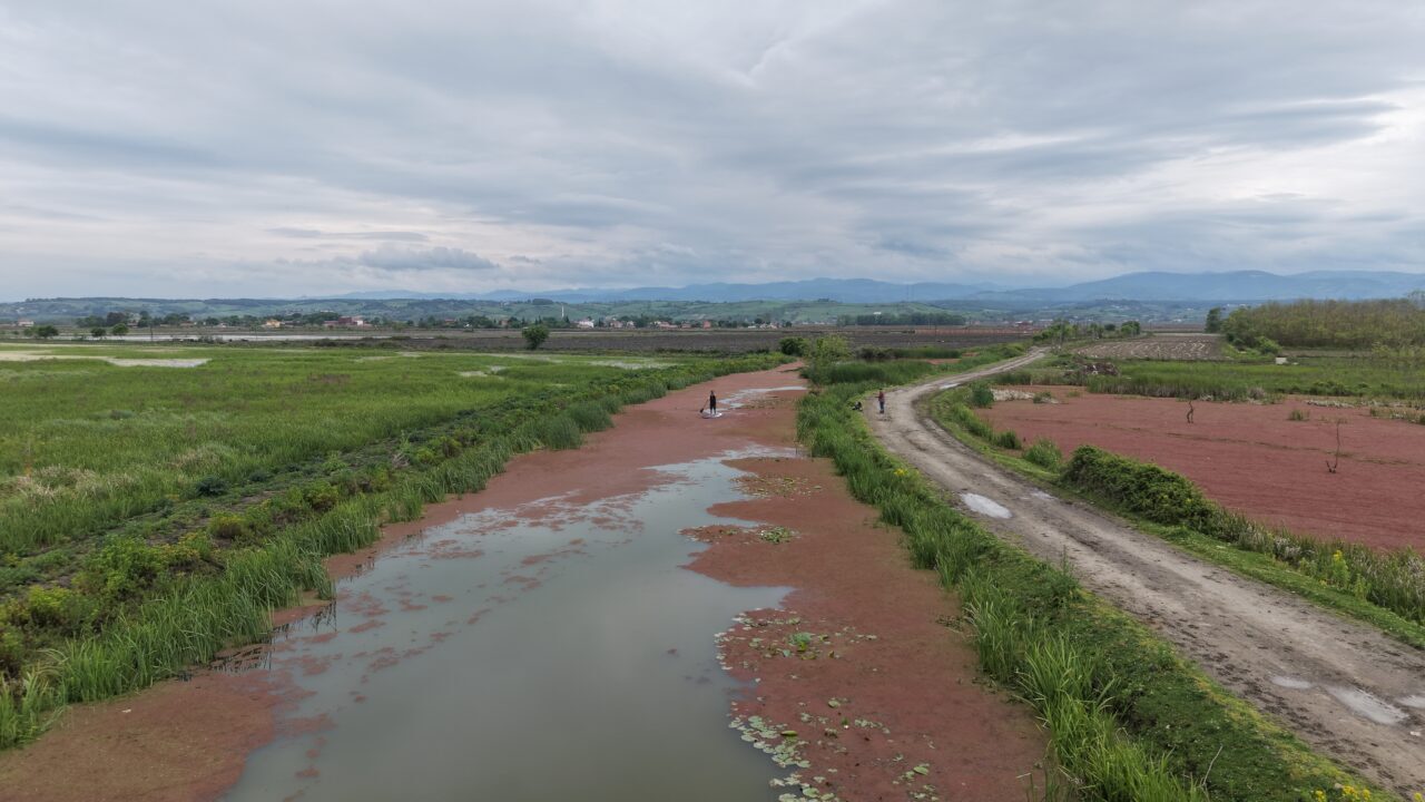 SAMSUN (AA) – Samsun'da, UNESCO Dünya Mirası Geçici Listesi'nde bulunan