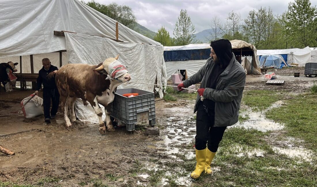 KOCAELİ (AA) – Kocaeli’nin Başiskele ilçesinde Yuvacık Barajı'nın tahliyesini sağlayan