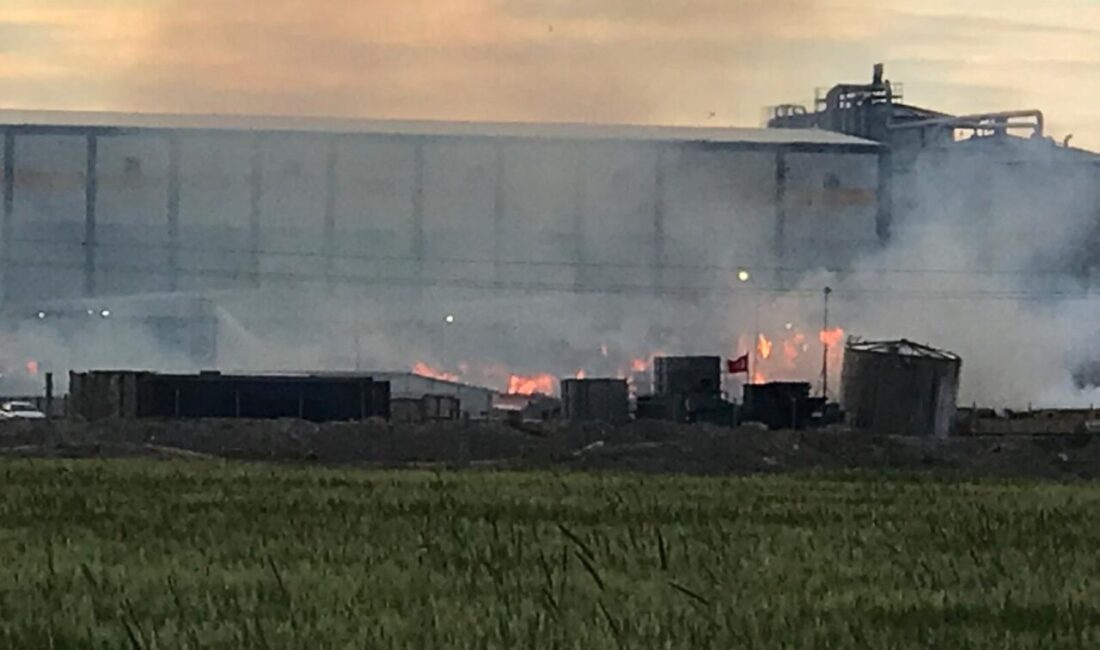 KONYA (AA) – Konya'nın Ereğli ilçesinde bir kağıt fabrikasının bahçesinde