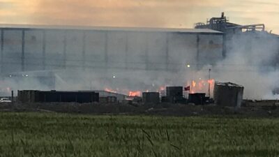 KONYA (AA) – Konya'nın Ereğli ilçesinde bir kağıt fabrikasının bahçesinde