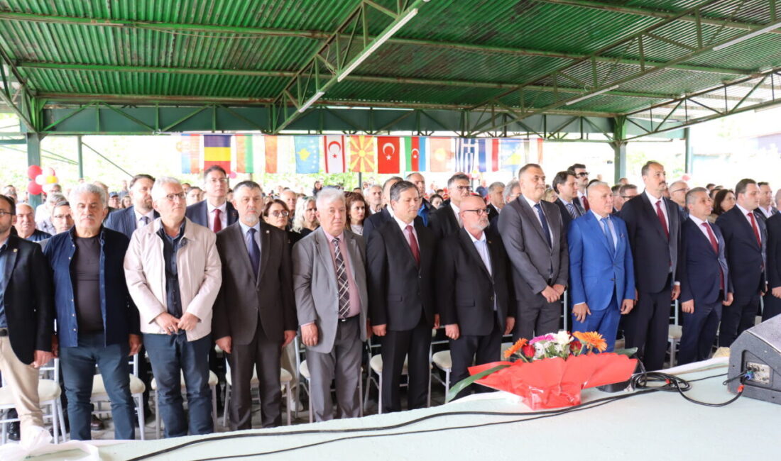 VALANDOVA (AA) – Kuzey Makedonya'nın güneydoğusundaki Valandova şehrinde, 33. Uluslararası
