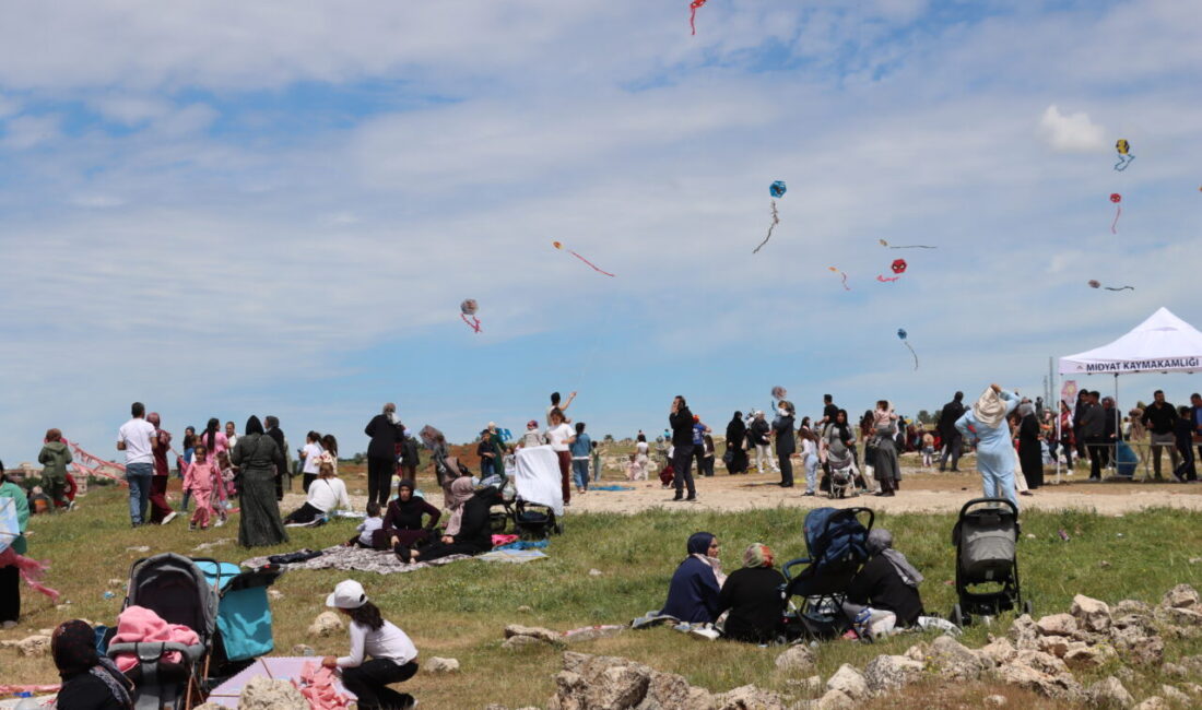 MARDİN (AA) – Mardin'in Midyat ilçesinde kaymakamlık tarafından "Aile Yılı"