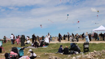 MARDİN (AA) – Mardin'in Midyat ilçesinde kaymakamlık tarafından "Aile Yılı"