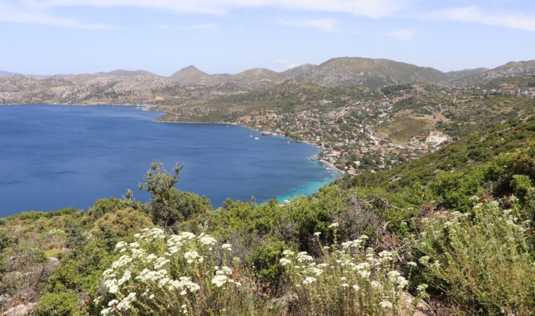 MUĞLA (AA) – Muğla'nın Marmaris ilçesinde ormanlık alanların sürdürülebilir turizme
