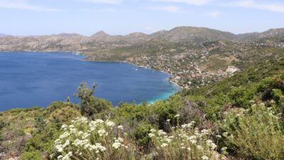 MUĞLA (AA) – Muğla'nın Marmaris ilçesinde ormanlık alanların sürdürülebilir turizme