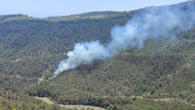 MERSİN (AA) – Mersin'in Erdemli ilçesinde çıkan örtü yangını, ekiplerin