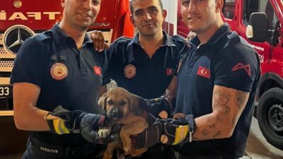 MERSİN (AA) – Mersin'in merkez Yenişehir ilçesinde otomobilin motor kısmına