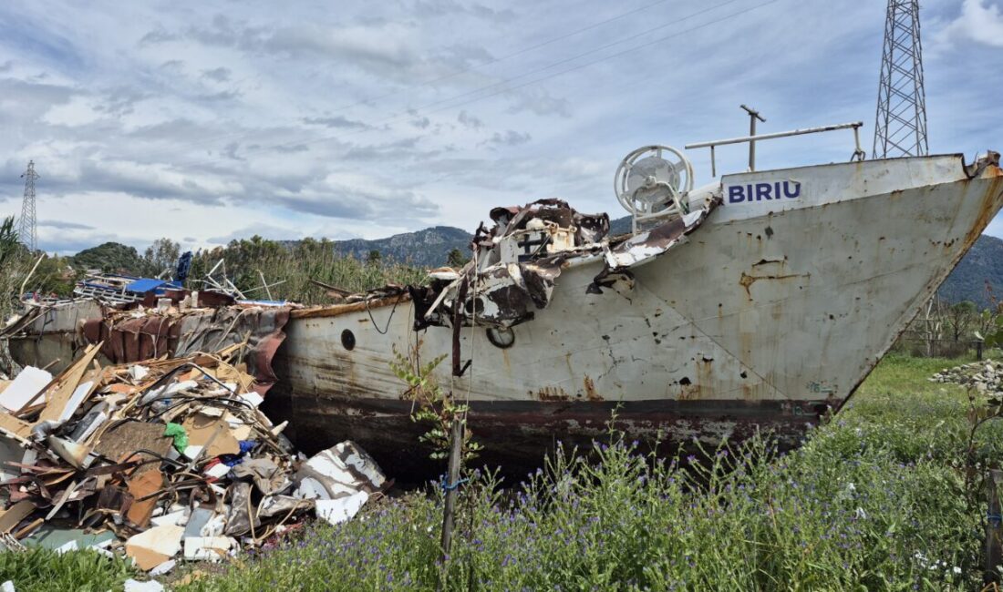 MUĞLA (AA) – Muğla'nın Ortaca ilçesinde 4 yıl önce düzensiz