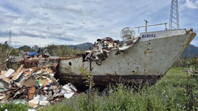 MUĞLA (AA) – Muğla'nın Ortaca ilçesinde 4 yıl önce düzensiz