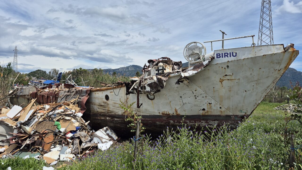 MUĞLA (AA) – Muğla'nın Ortaca ilçesinde 4 yıl önce düzensiz
