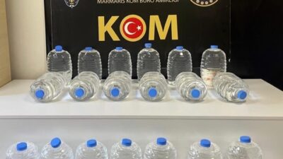 MUĞLA (AA) – Muğla'da Kurban Bayramı öncesi düzenlenen koordineli operasyonlarda,