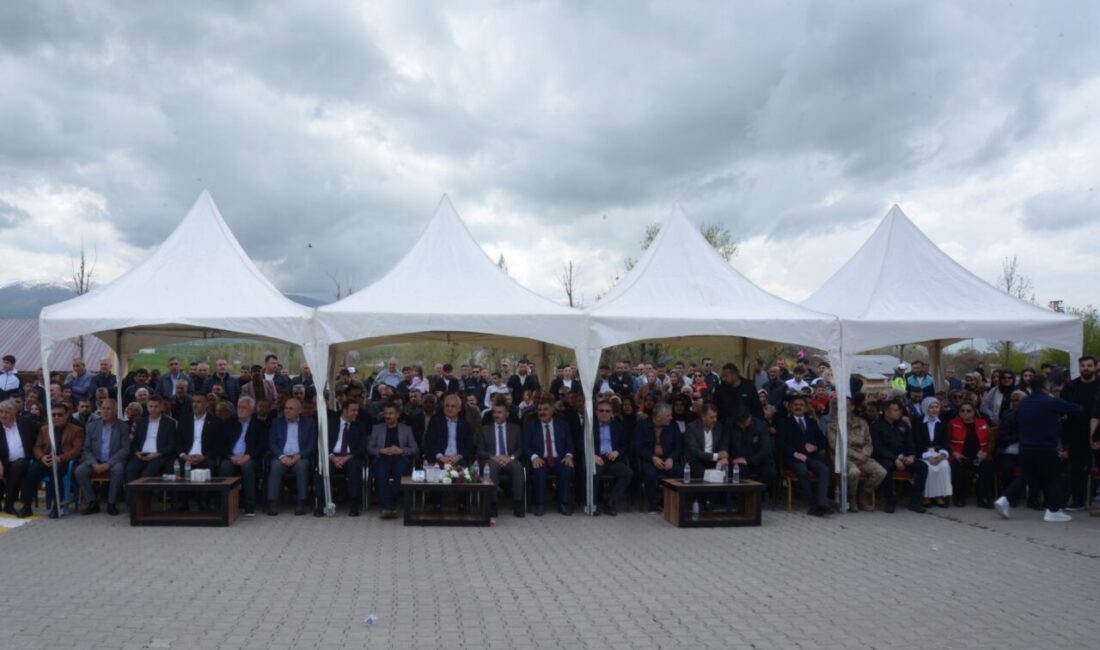 MUŞ (AA) – Muş'un Korkut ilçesinde, kentte doğal olarak yetişen