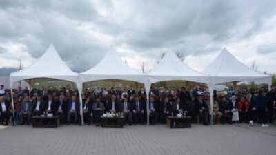 MUŞ (AA) – Muş'un Korkut ilçesinde, kentte doğal olarak yetişen