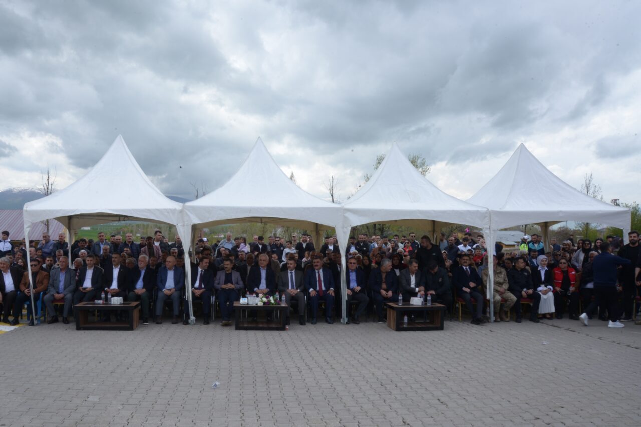 MUŞ (AA) – Muş'un Korkut ilçesinde, kentte doğal olarak yetişen