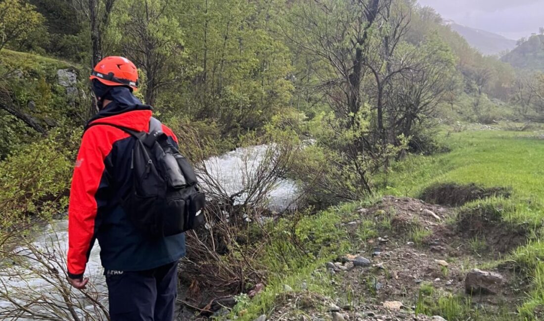 MUŞ (AA) – Muş'ta köprüden geçerken dereye düşerek kaybolan kadın