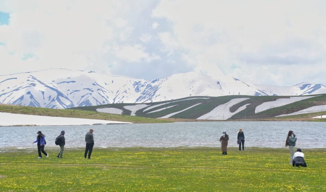 MUŞ (AA) – Muş'ta bir grup doğasever, Ilıca Yaylası, Turna