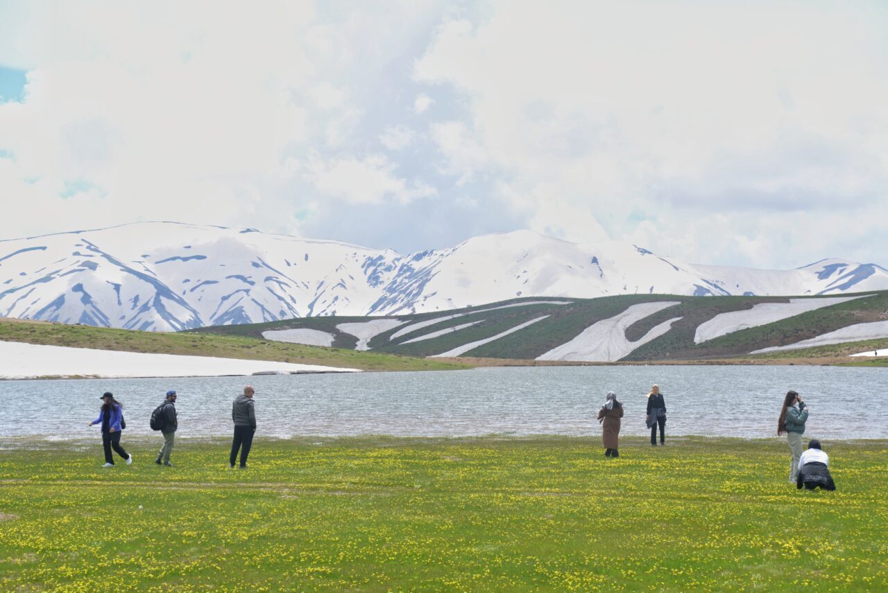 MUŞ (AA) – Muş'ta bir grup doğasever, Ilıca Yaylası, Turna