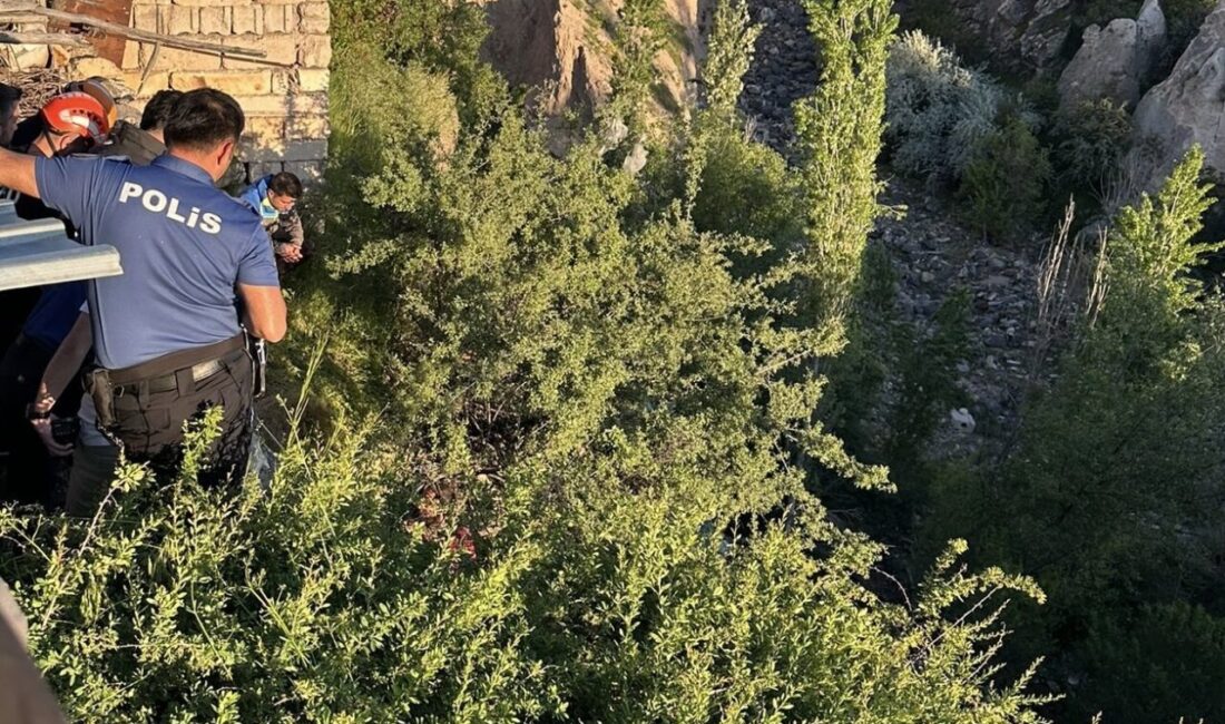 NEVŞEHİR (AA) – Nevşehir'de dere yatağına düşerek ağaç dalında takılı