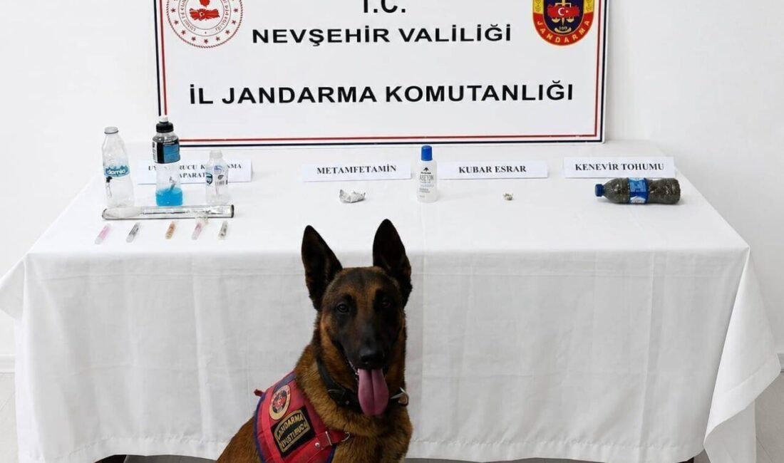 NEVŞEHİR (AA) – Nevşehir'in Acıgöl ilçesinde düzenlenen uyuşturucu operasyonunda 9