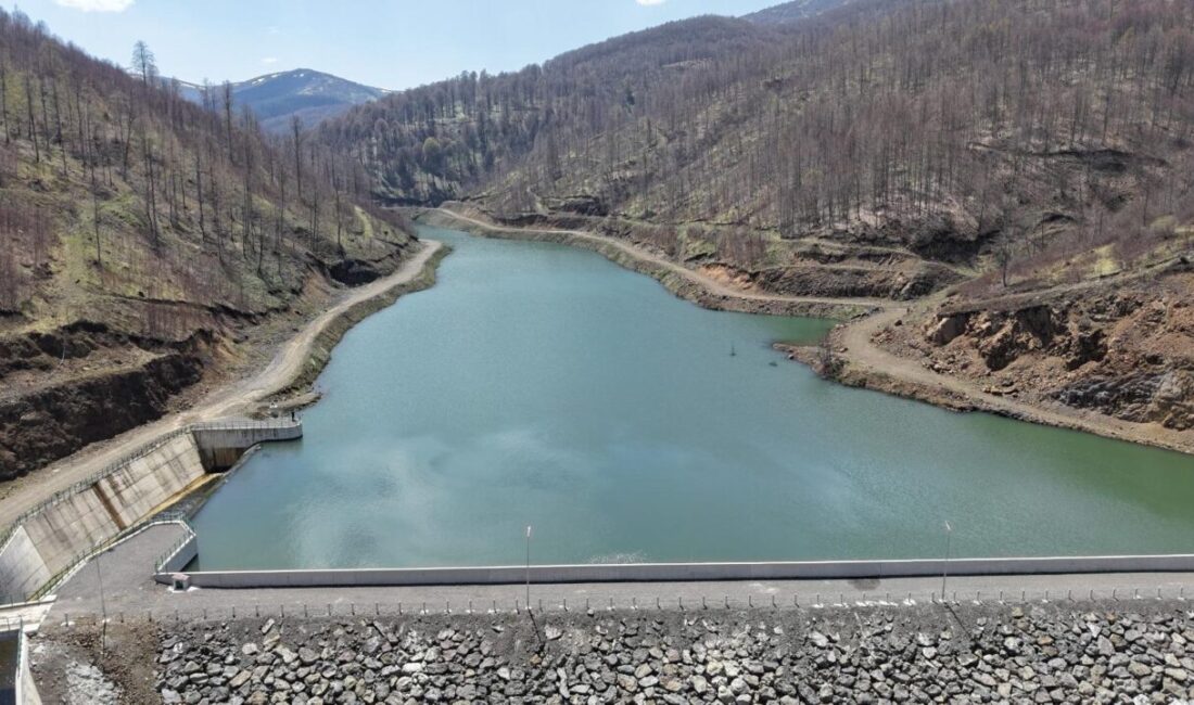 ORDU (AA) – Ordu'da alınan son yağışlarla gölet ve barajlarda