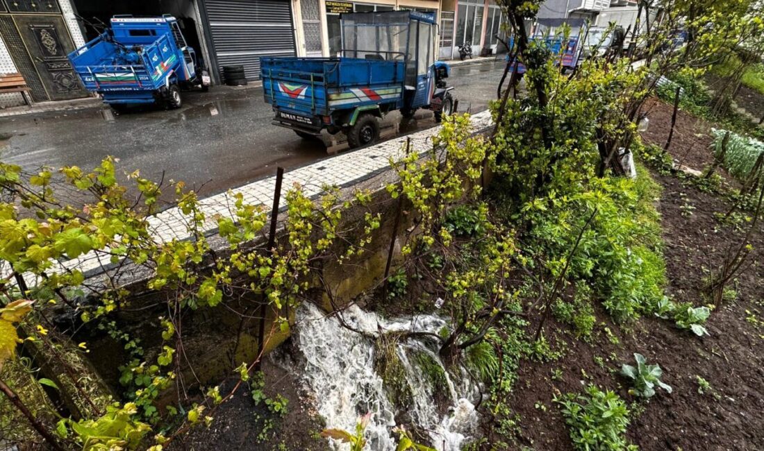 ORDU (AA) – Ordu'nun Korgan ilçesinde şiddetli yağış hasara yol