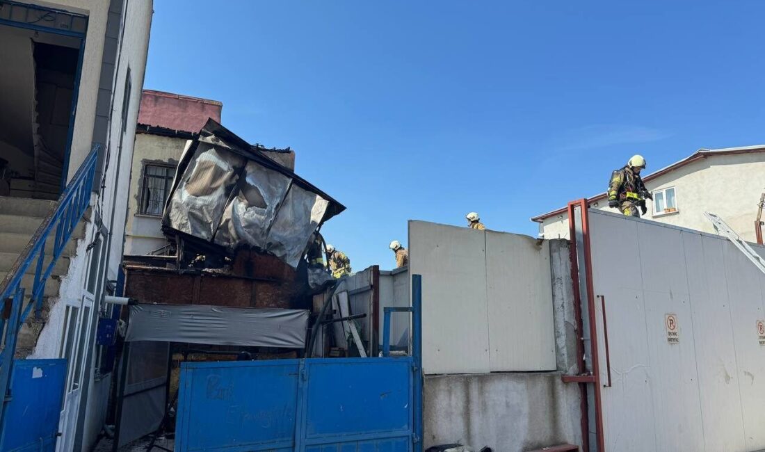 İSTANBUL (AA) – Pendik'te bir binanın girişindeki müştemilatında çıkan ve