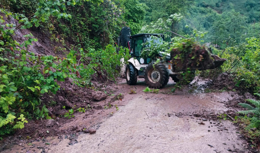RİZE (AA) – Rize'de şiddetli yağış hayatı olumsuz etkiledi. İl