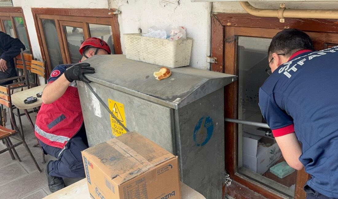 SAKARYA (AA) – Sakarya'nın Taraklı ilçesinde elektrik panosuyla duvar arasında