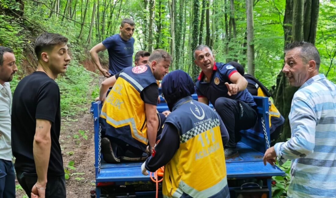SAKARYA (AA) – Sakarya'nın Akyazı ilçesinde ormanlık alanda kayalıkların üzerine