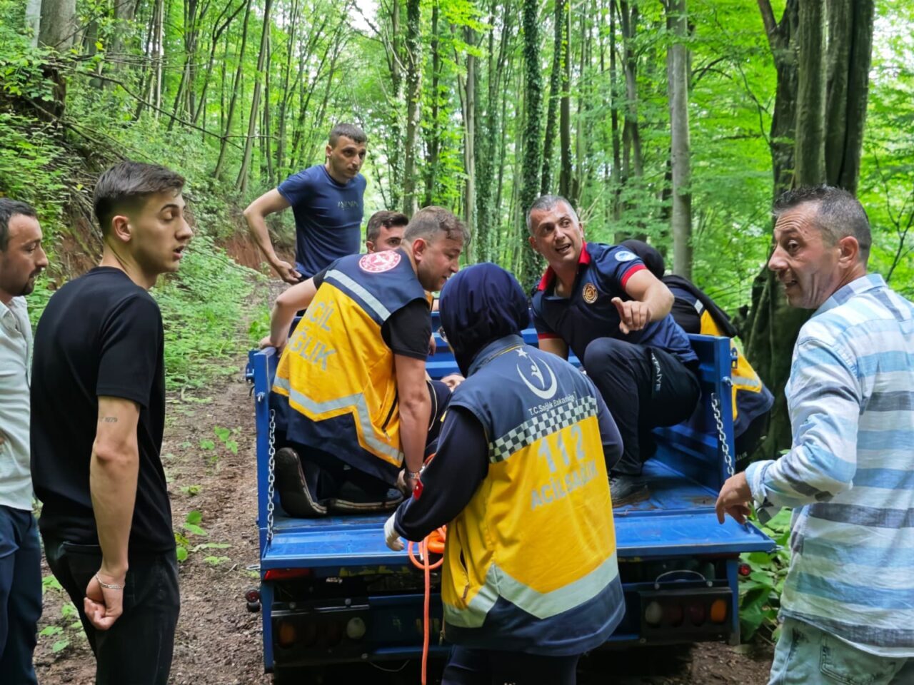 SAKARYA (AA) – Sakarya'nın Akyazı ilçesinde ormanlık alanda kayalıkların üzerine
