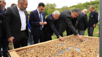 SAMSUN (AA) – Samsun'un Kavak ilçesinde "3. Salep Uygulamalı Hasat
