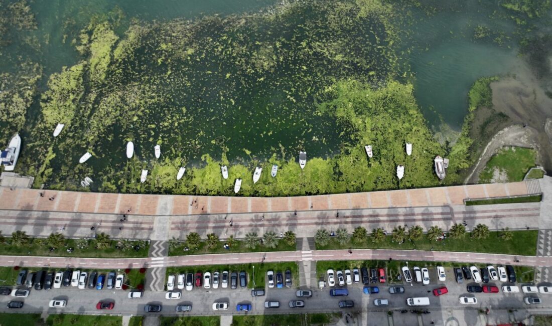 SAMSUN (AA) – Samsun'un Atakum ilçesinde kıyıya yakın bazı noktalar,