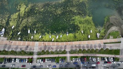 SAMSUN (AA) – Samsun'un Atakum ilçesinde kıyıya yakın bazı noktalar,