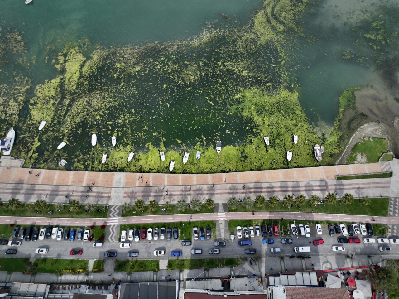 SAMSUN (AA) – Samsun'un Atakum ilçesinde kıyıya yakın bazı noktalar,