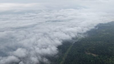 SAMSUN (AA) – Samsun'un Yakakent ilçesinde etkili olan sis, dronla