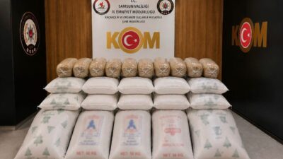 SAMSUN (AA) – Samsun'da kamyonette 770 kilogram kaçak tütün ele