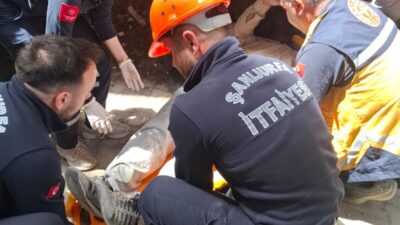 ŞANLIURFA (AA) – Şanlıurfa'nın Birecik ilçesinde iskelenin düşmesi sonucu balkondaki