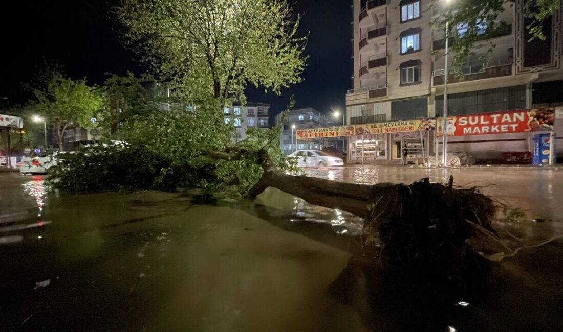 ŞANLIURFA (AA) – Şanlıurfa'nın Siverek ilçesinde sağanak, fırtına ve dolu