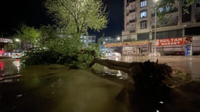 ŞANLIURFA (AA) – Şanlıurfa'nın Siverek ilçesinde sağanak, fırtına ve dolu