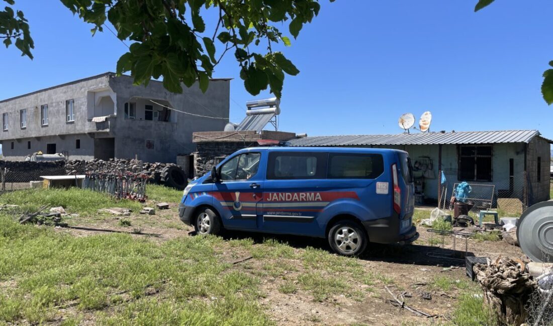 ŞANLIURFA (AA) – Şanlıurfa'nın Siverek ilçesinde evinde gördüğü yılanı av