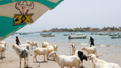 DAKAR (AA) – Senegal'de yaklaşan Kurban Bayramı öncesi başkent Dakar'ın